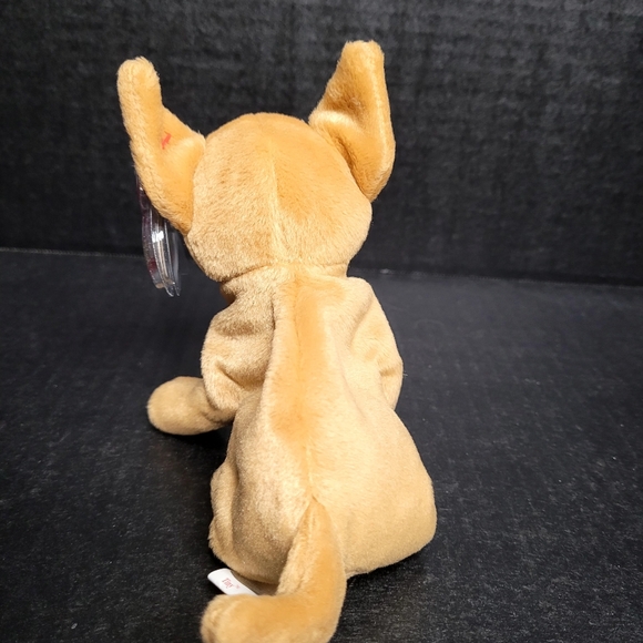 TY Beanie Babies Tiny The Chihuahua - Picture 4 of 11